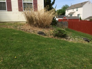 8-26-14_landscaping_before_05c