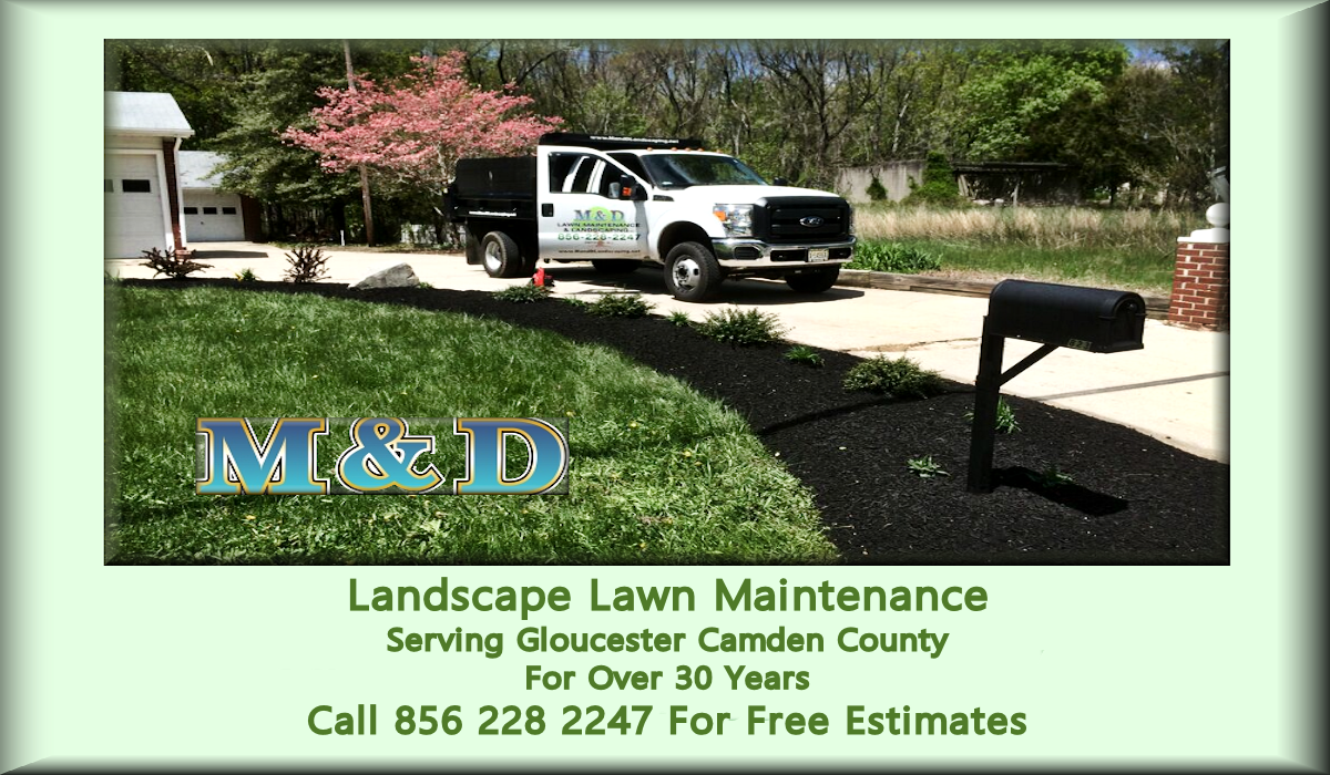 M&D Lawn Maintenance & Landscaping Deptford, NJ 08096 ~ 856-228-2247